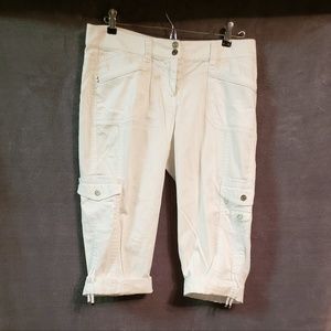 💲SALE💲WHBM Cropped Pants Size 2